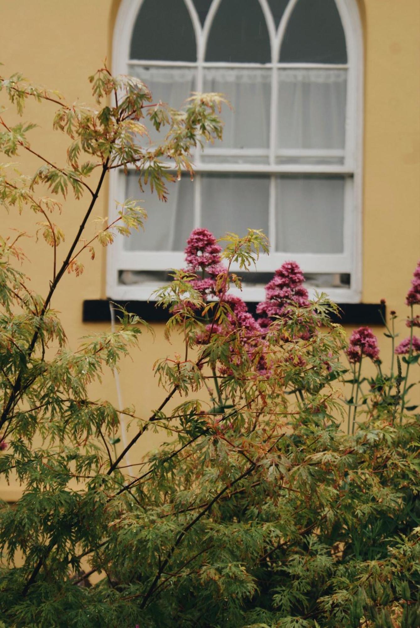 布里克瑟姆Ranscombe House住宿加早餐旅馆 外观 照片